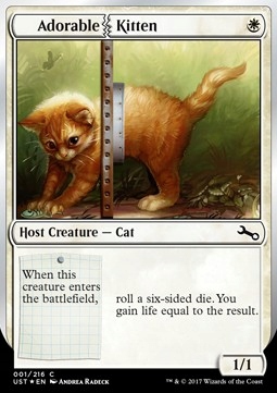

Adorable Kitten Ust Gratisy Pjotrekkk*