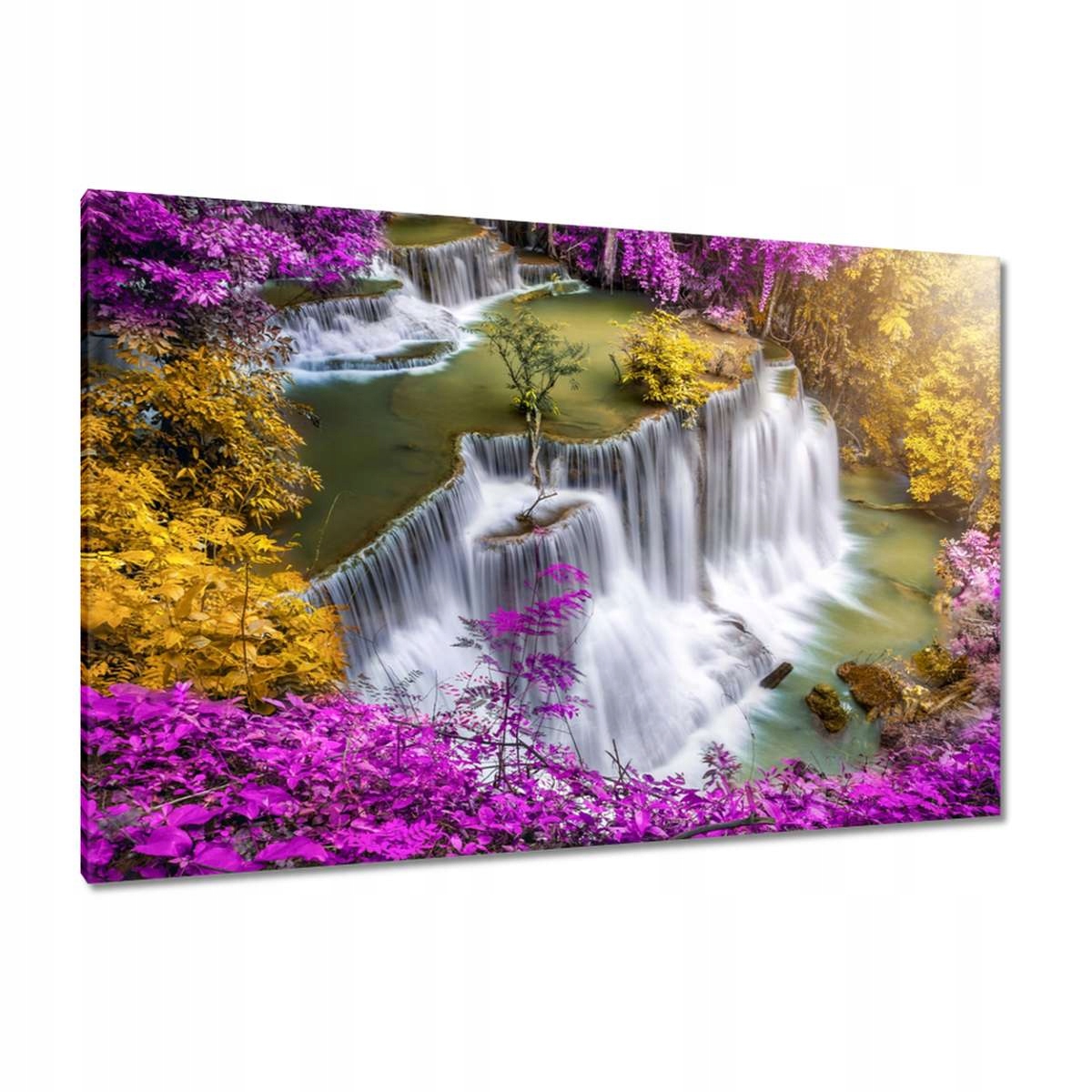 Obrazy 120x80 Fialově kolem kaskády