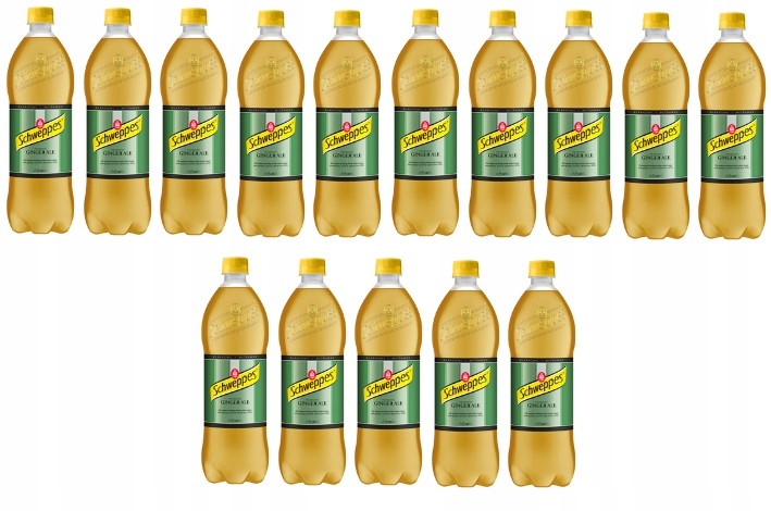 15x 850ml Schweppes Ginger ale napój