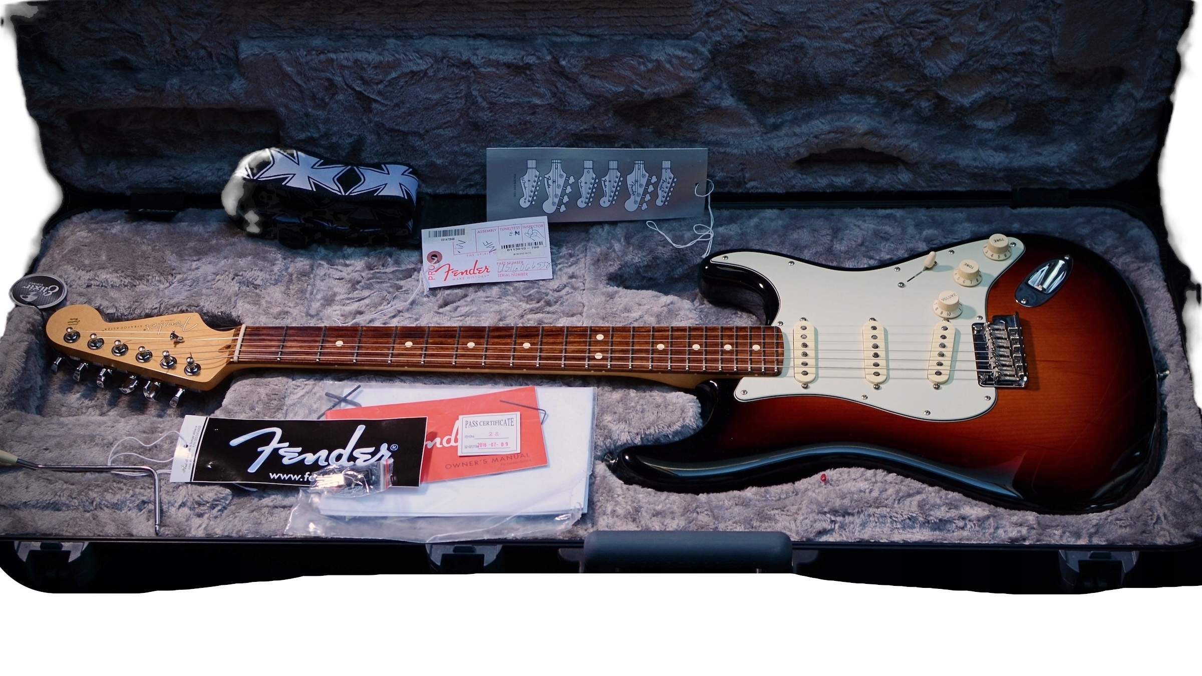 ギター Fender USA Professional Stratocaster Gitara elektryczna Fender Stratocaster Praworęczna 6 strun