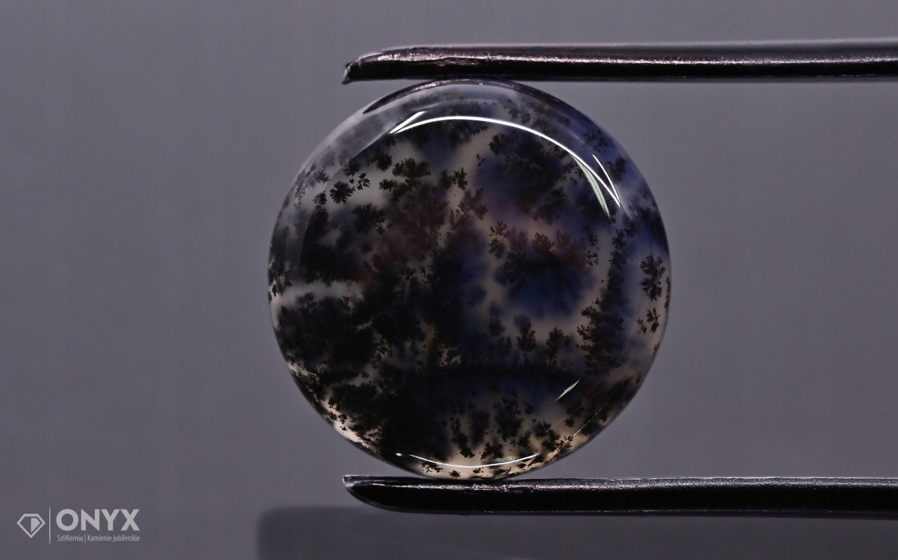 Dendritový achát z Kazachstánu konvexní mělký kruh