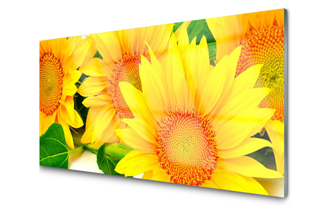 

Panel szklany Płytka Słonecznik Kwiat 140x70