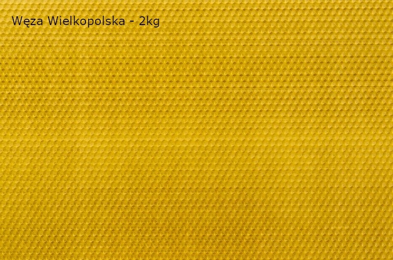 

Węza pszczela Wielkopolską 2 Kg 5,37 MM