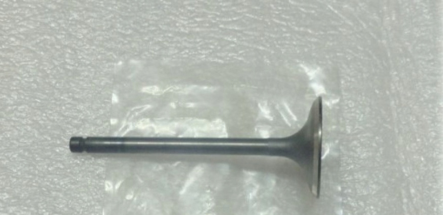 Sací ventil Yamaha Grizzly, Kodiak, Rhino 5GH-12111-00-00