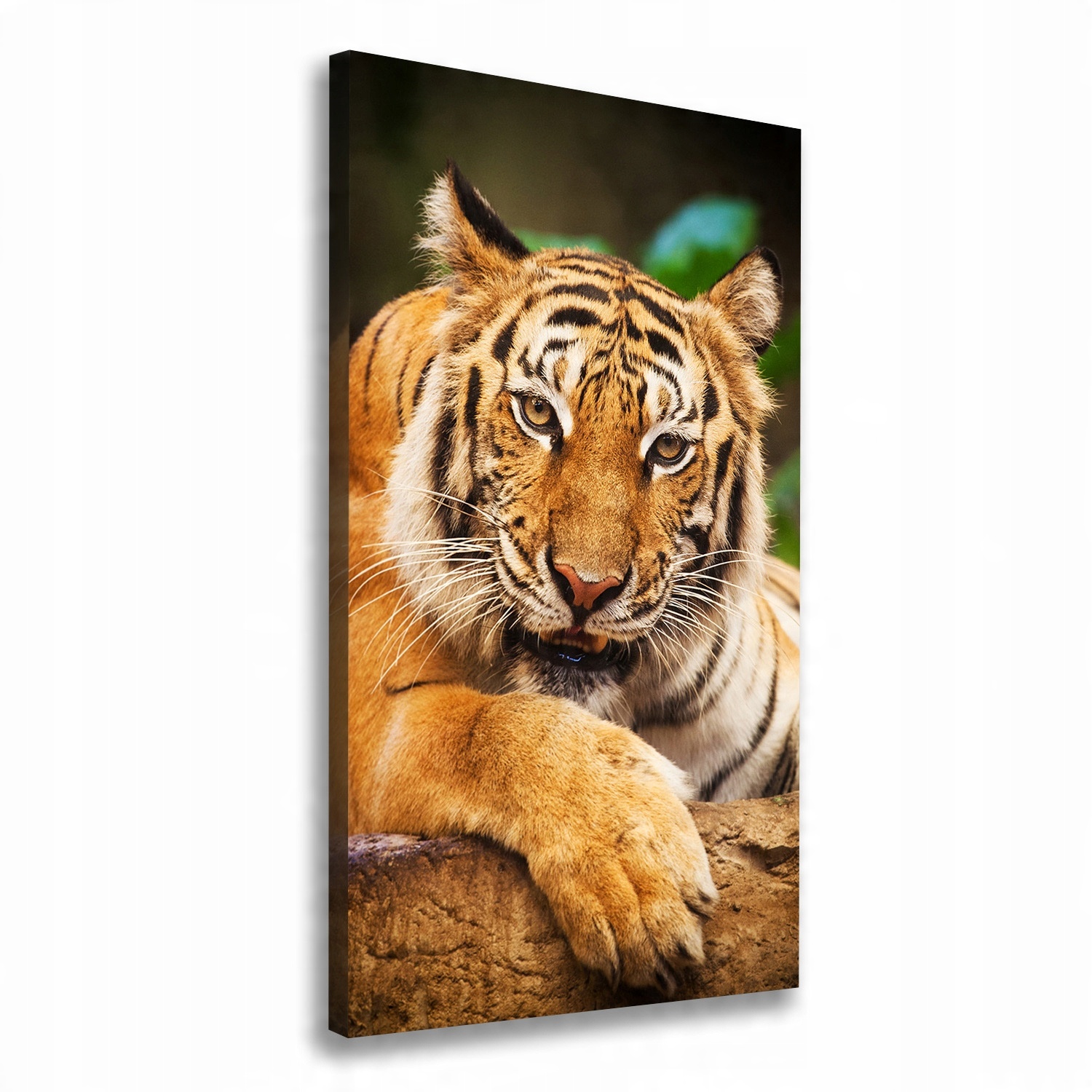 

Foto obraz na płótnie Tygrys bengalski 60x120 cm