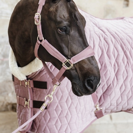 Uwiąz Basic old rose 2m Kentucky