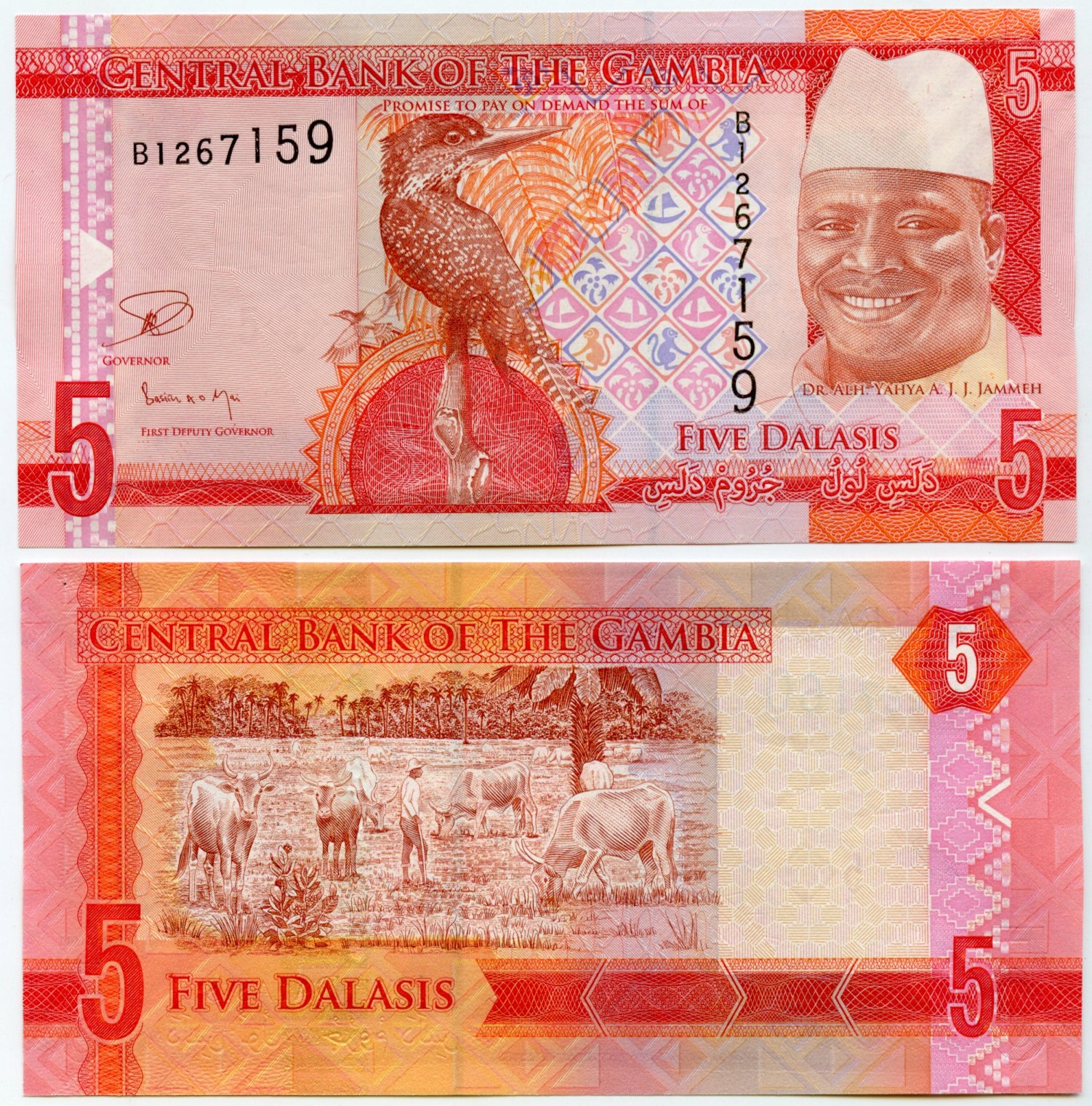 GAMBIA 5 DALASIS 2015 P-31 UNC