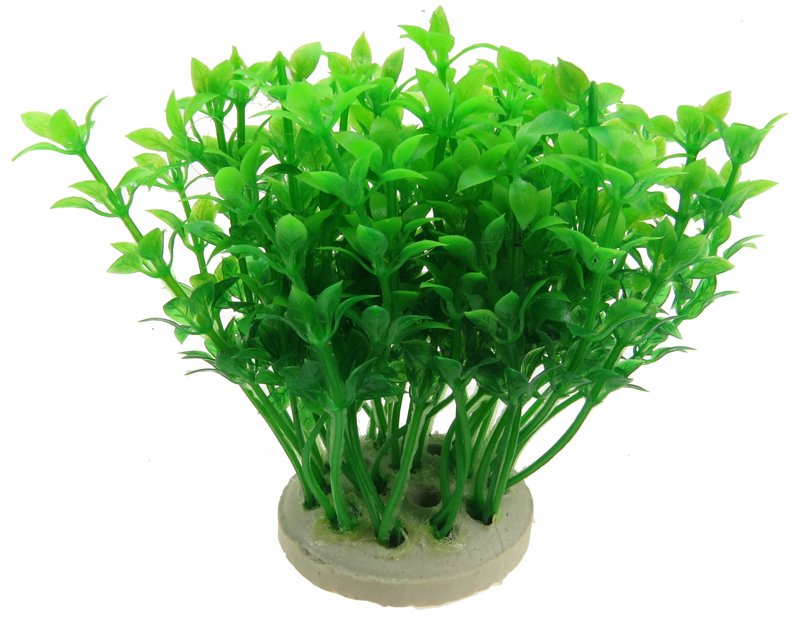 

Roślinka Sztuczna Do Akwarium 10cm Dekoracja 1f07