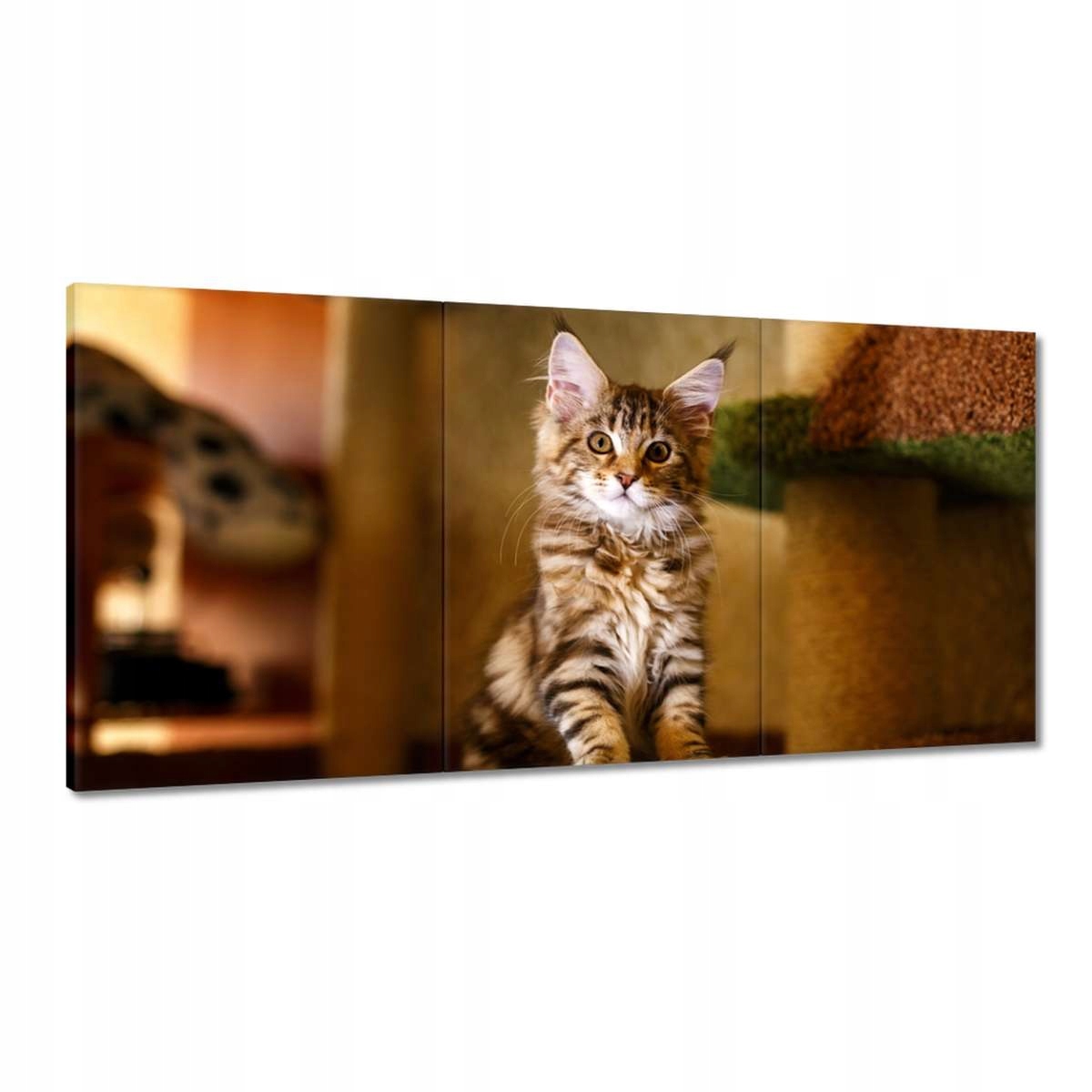 Obrazy 180x90 Čo ja balím?