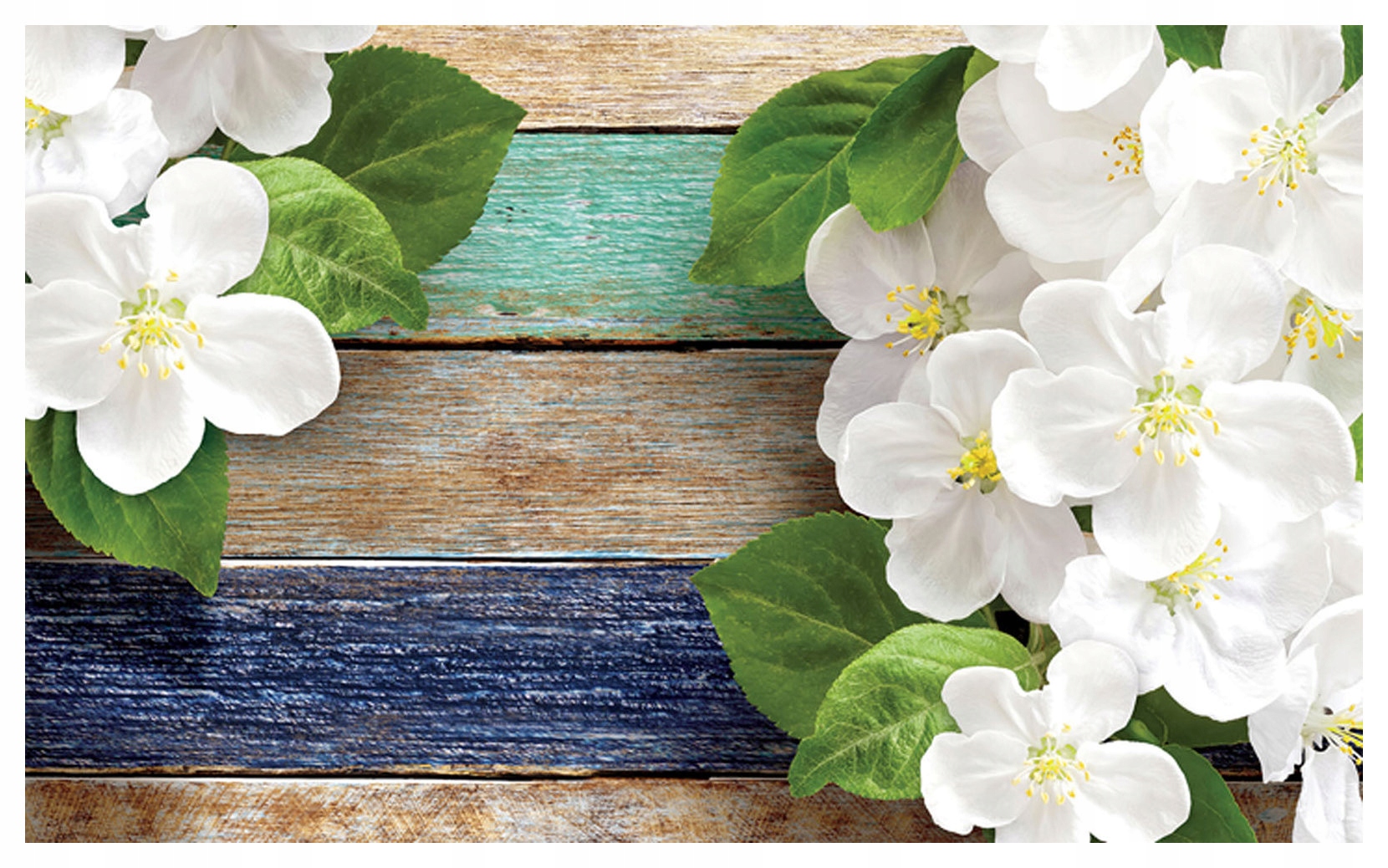 Fototapeta Jabloň jarná biela modrá vinylová textúra dreva 254x184 lepidlo