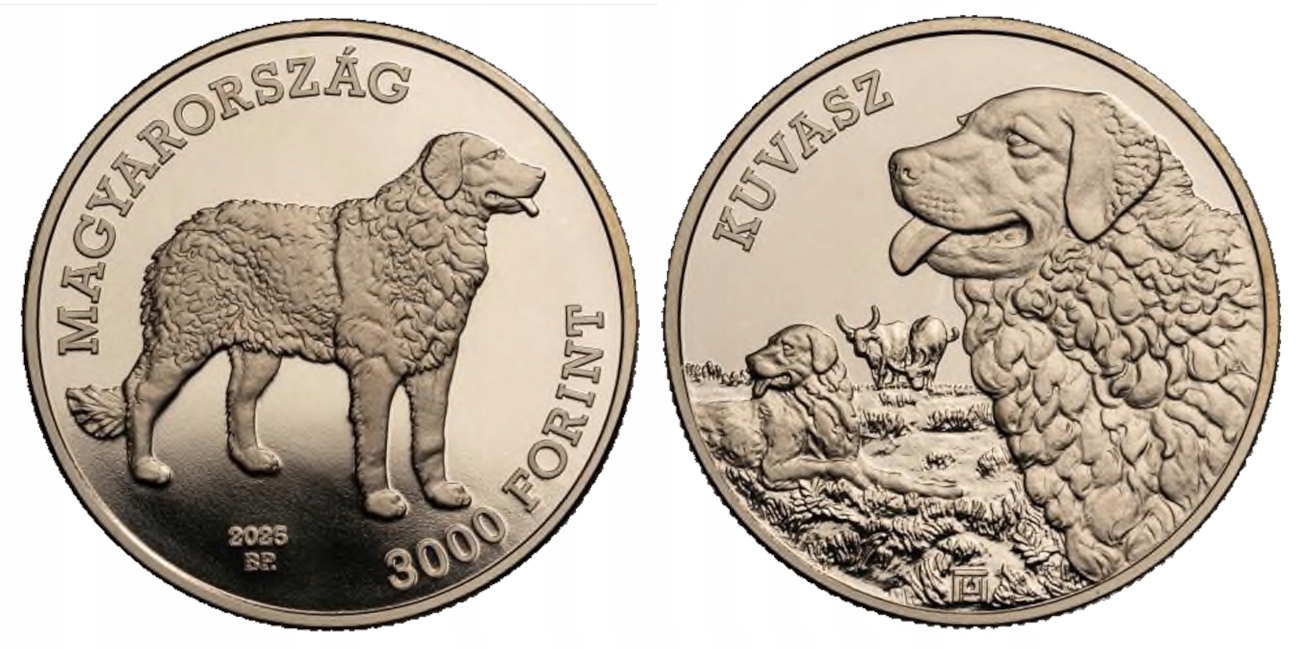WĘGRY 3000 Forint 2025, kuvasz, z serii psy