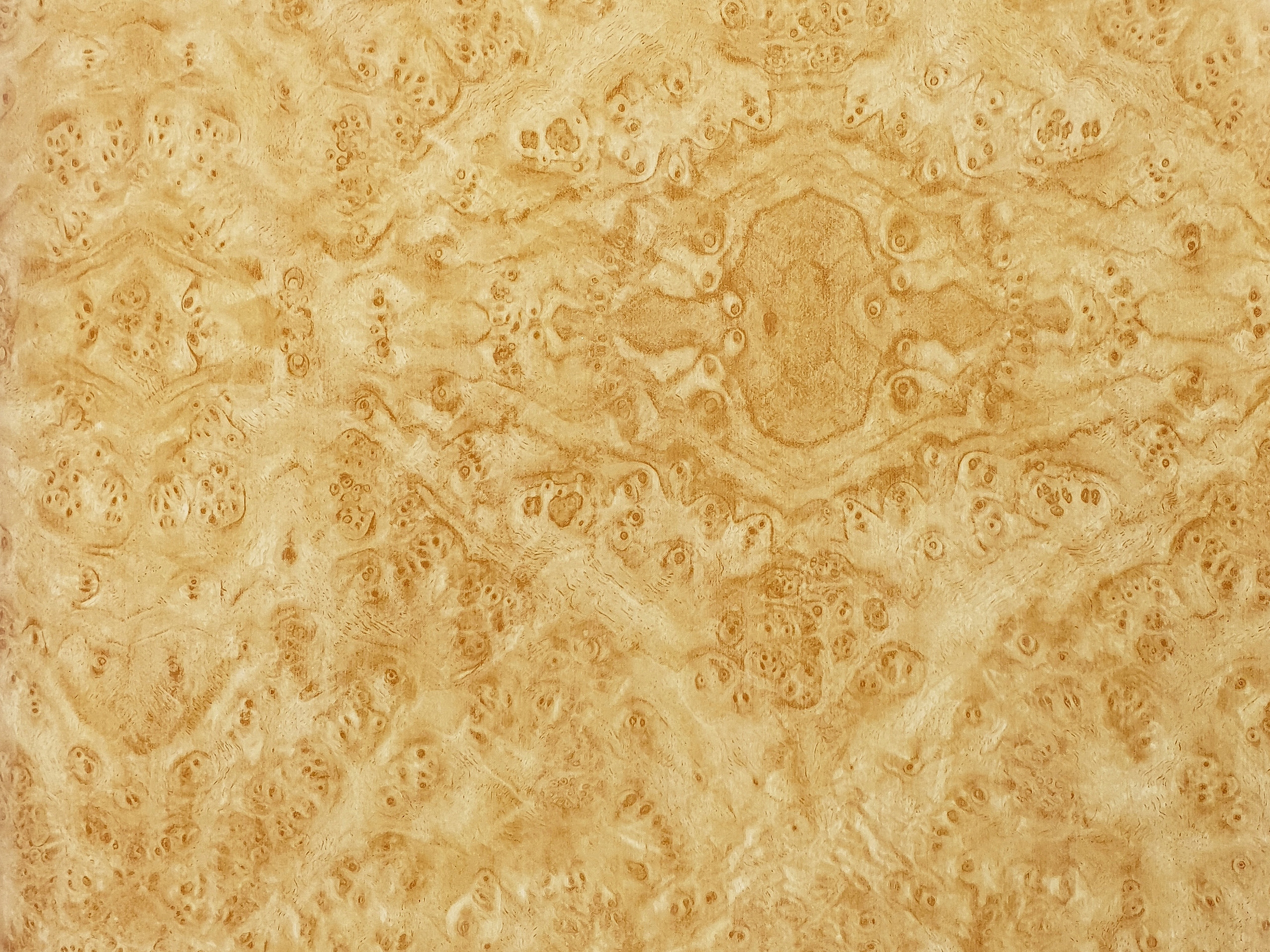 

Próbka Folia Meblowa Drewno Różane Jasne 10x15cm