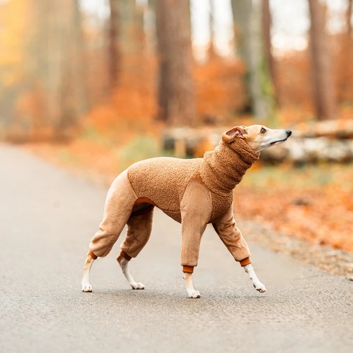 Levně Oblečení pro whippeta Kombinéza Boucle