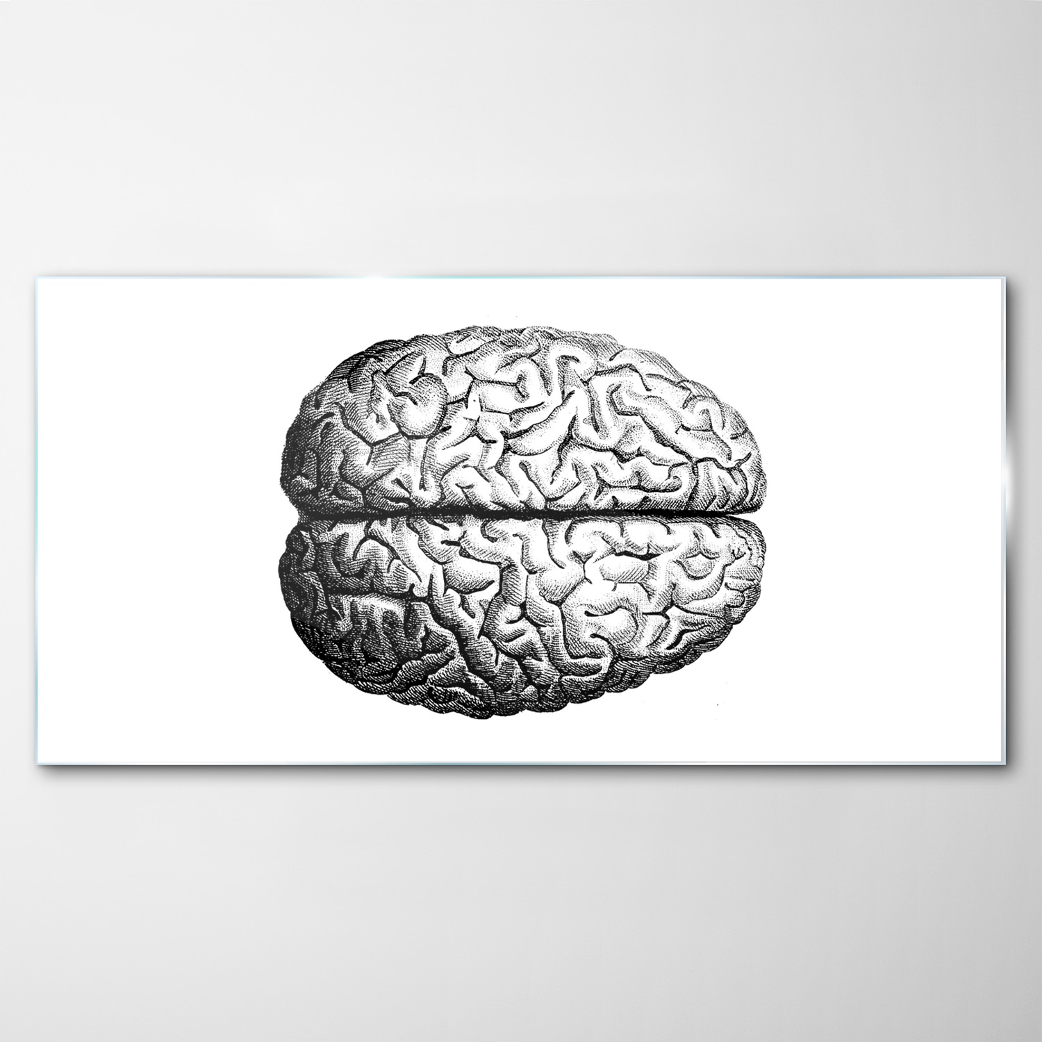 

Obraz na Szkle Dekor Mózg Anatomia Vintage 120x60