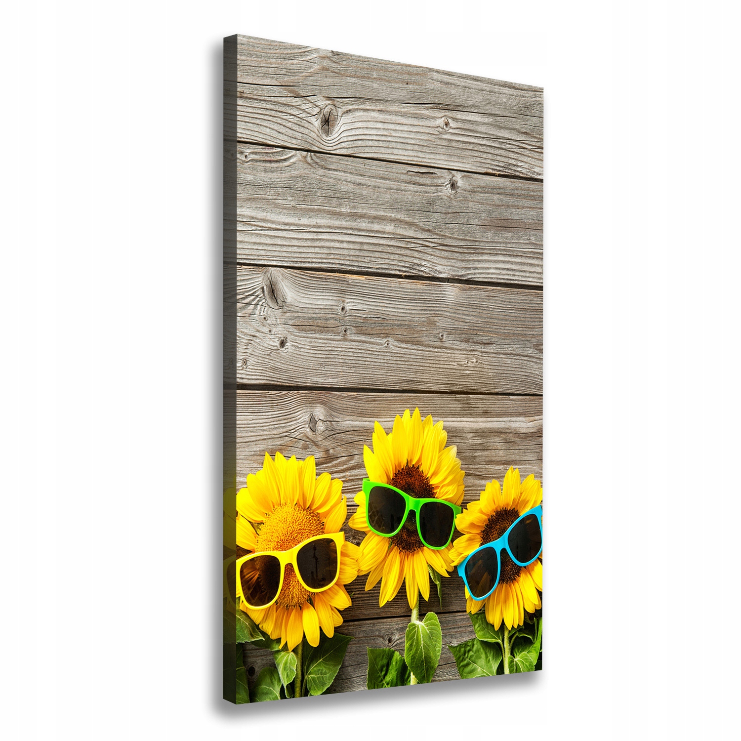 

Foto obraz na płótnie Słoneczniki okulary 60x120cm
