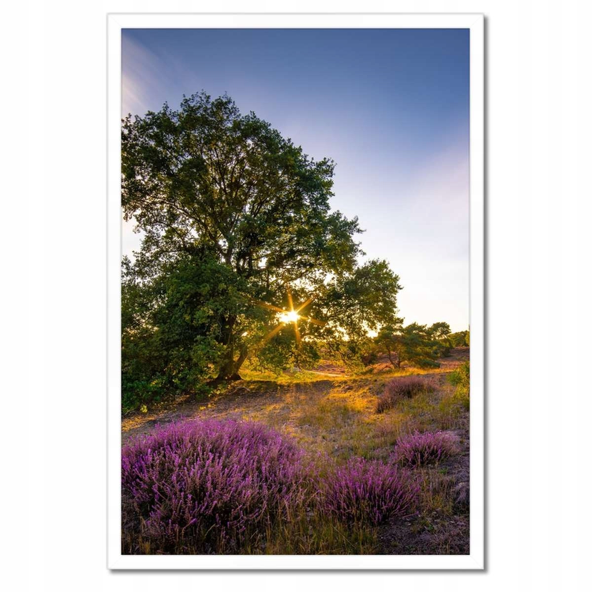 Plakáty v rámu 40x60 Krajina Pohled