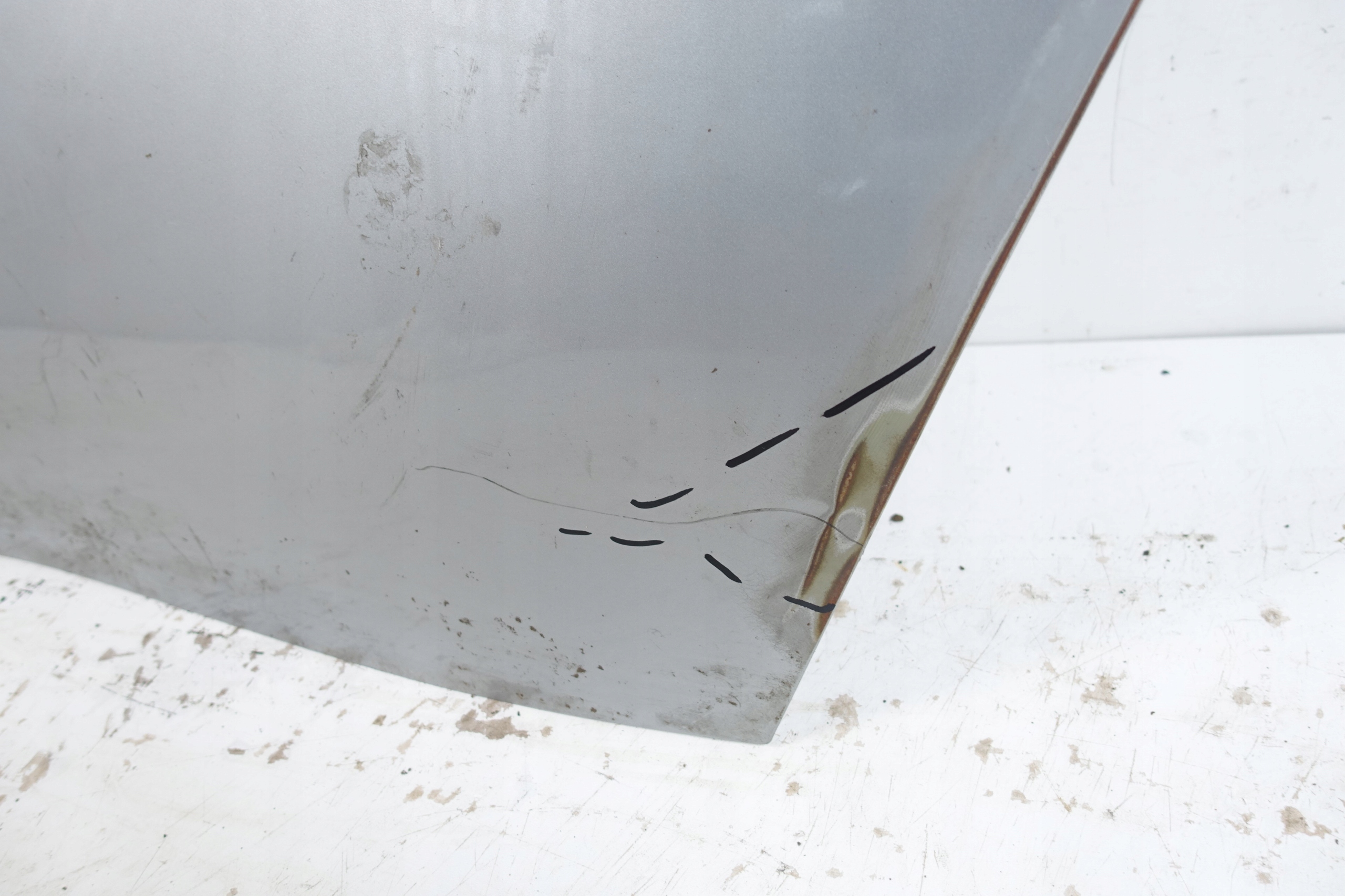 XPENG P7 2019- Tür hinten links heck