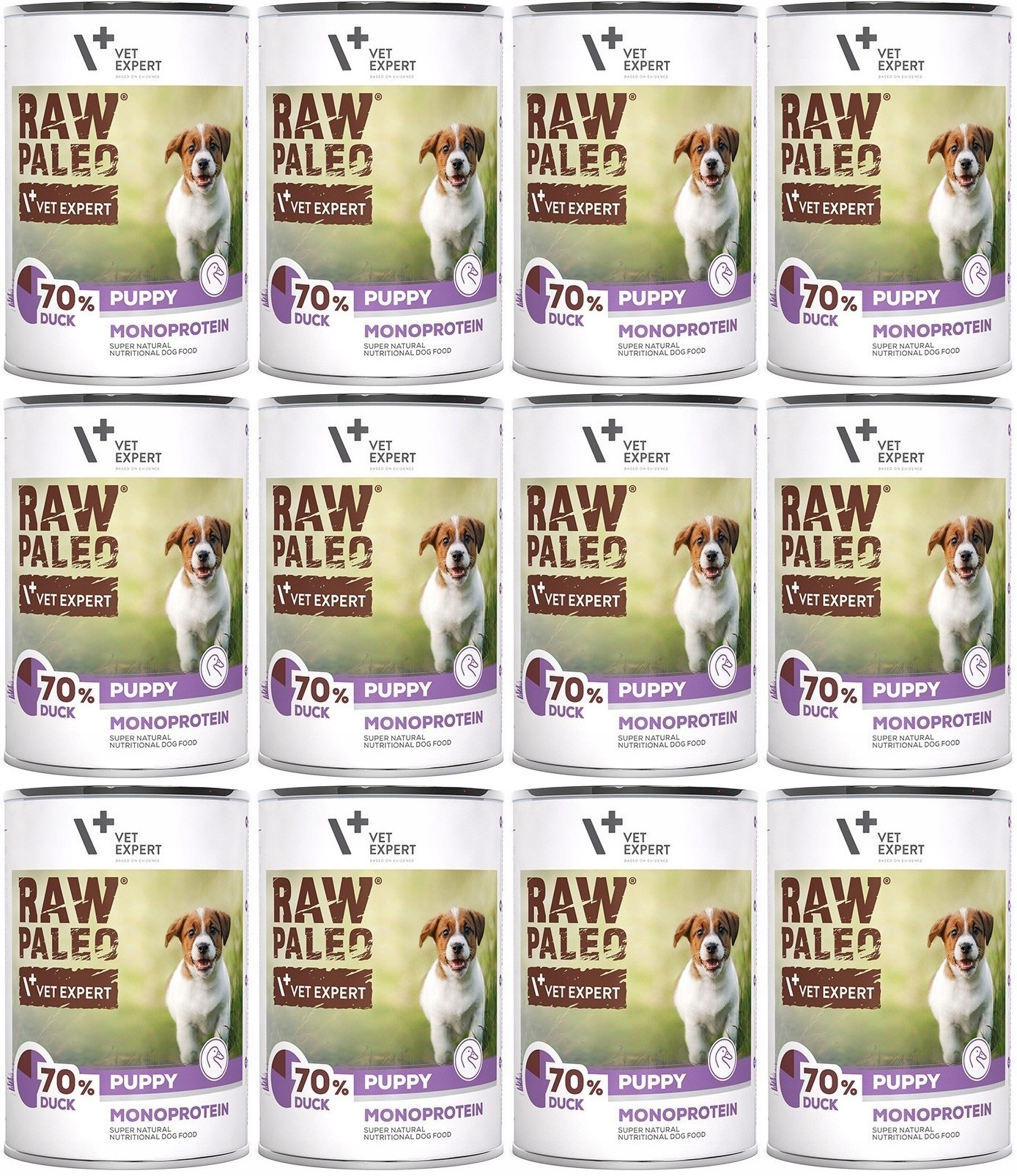 Levně VetExpert Raw Paleo Štěně Kachna 12 x 400 g