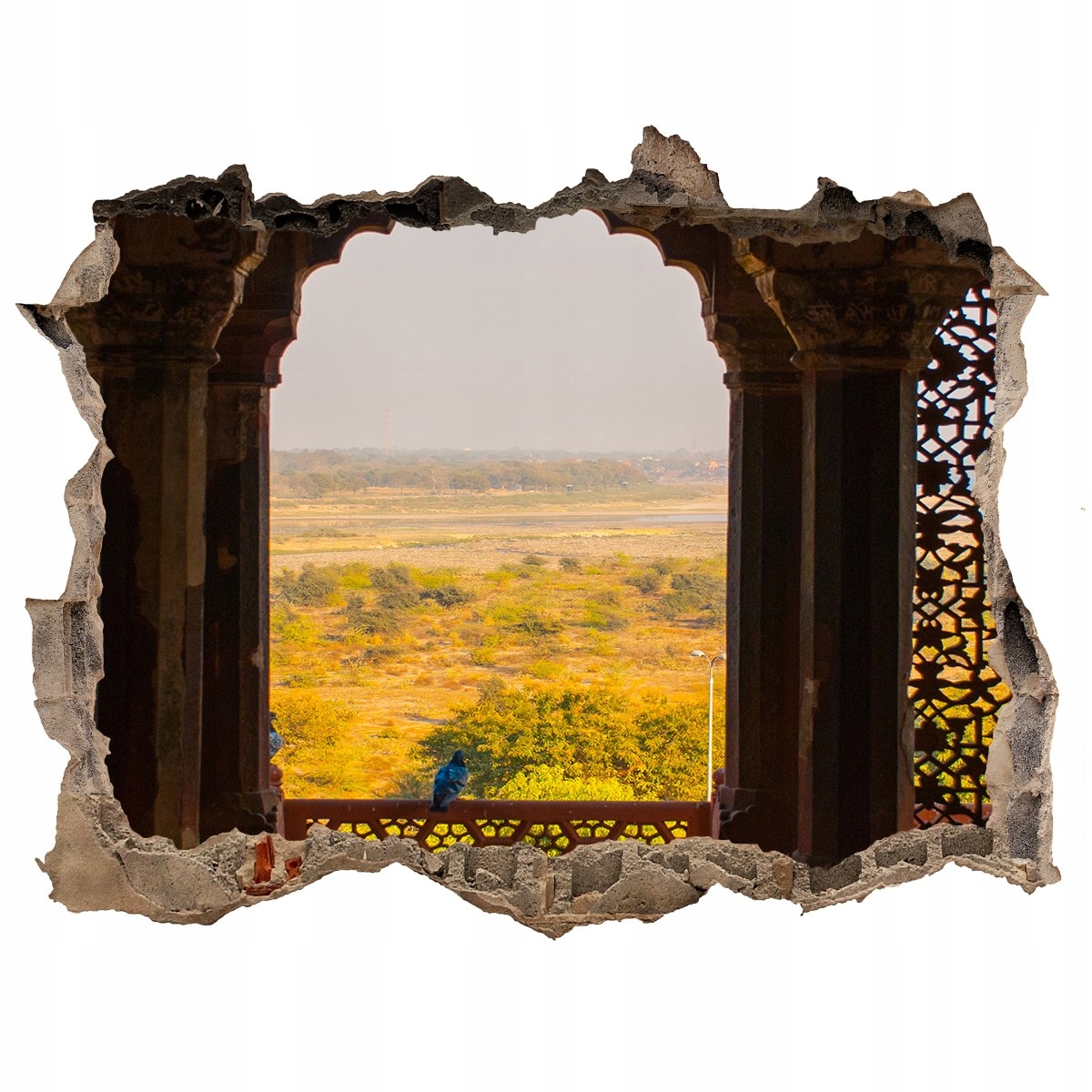 

Fototapeta dziura na ścianę Fort Agra Indie 120x81
