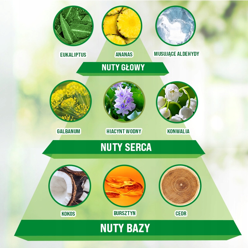 Air Wick Elektryczny Odświeżacz Powietrza zapach Łąka Kwietna Komplet 19 ml Rodzaj wkład elektryczny