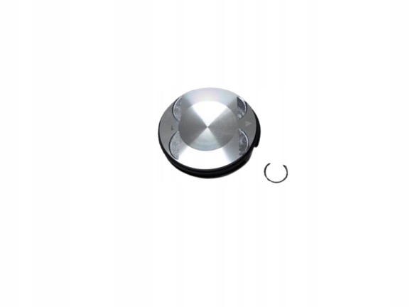 Polaris Rzr Ranger General Tlmič 2205244 2204948 3022567