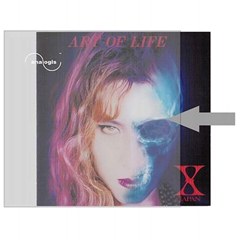 Koszulki Okładki Zewnętrzne Na Płyty Winylowe 12" 30cm Analogis 100szt.