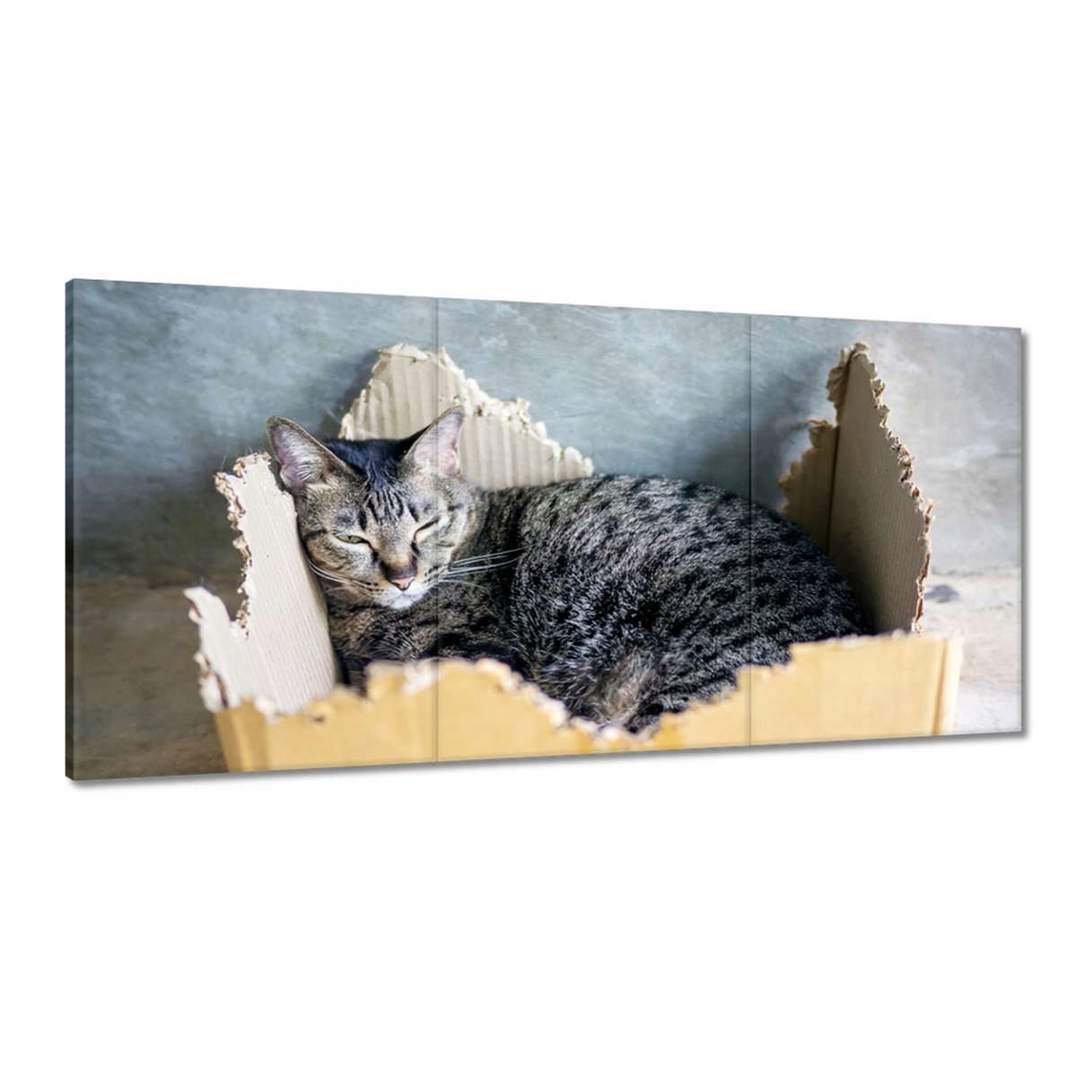 Obrazy 180x90 Mačka Mačky Kicia