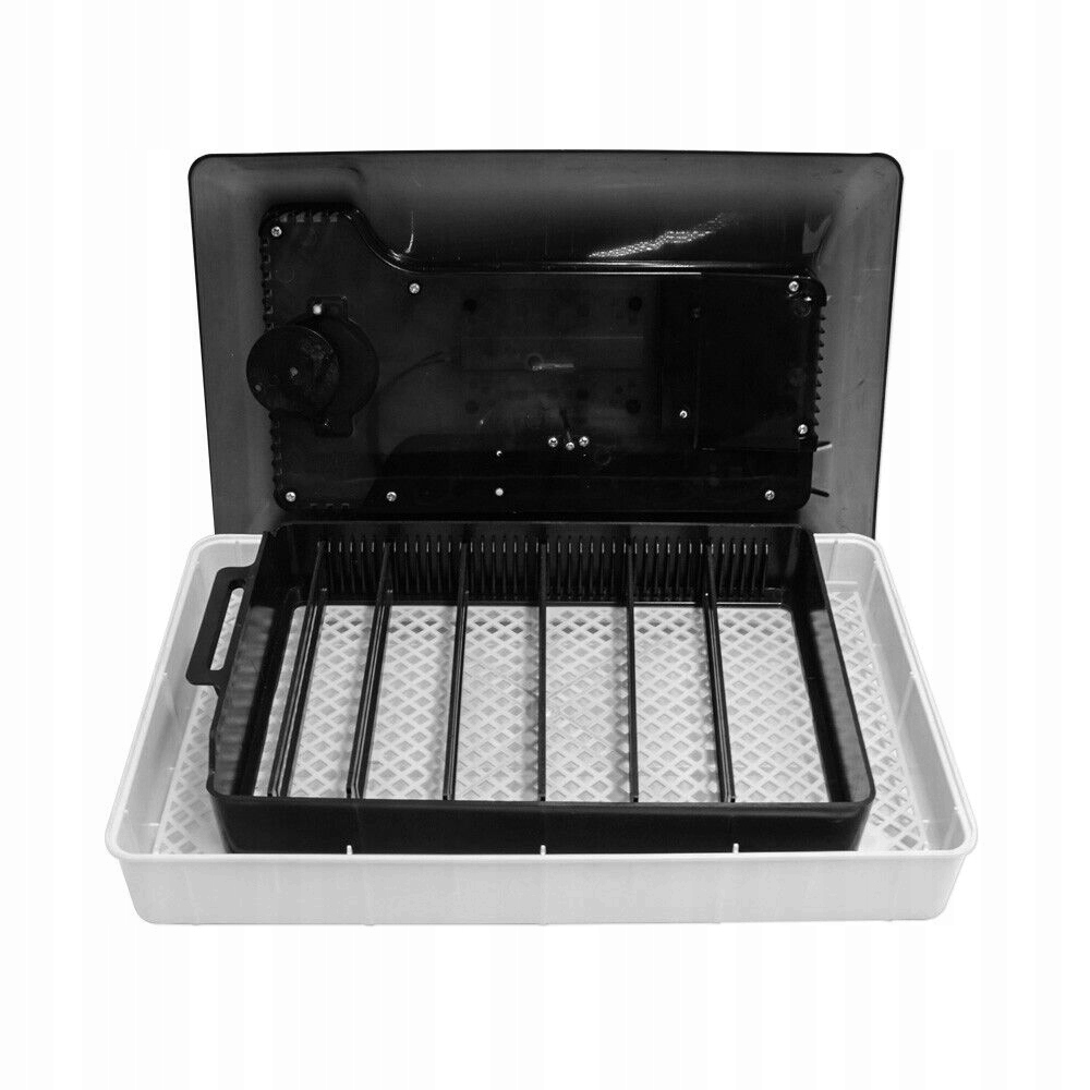12 Inkubator jaj 40W 32x21x12cm Rodzaj inkubator