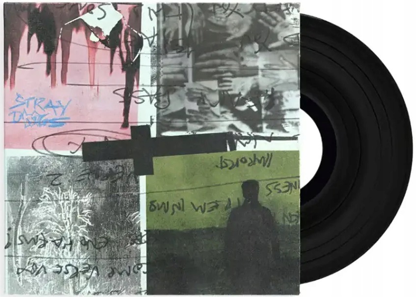Nothing But Thieves Stray Dogs Lp Winyl