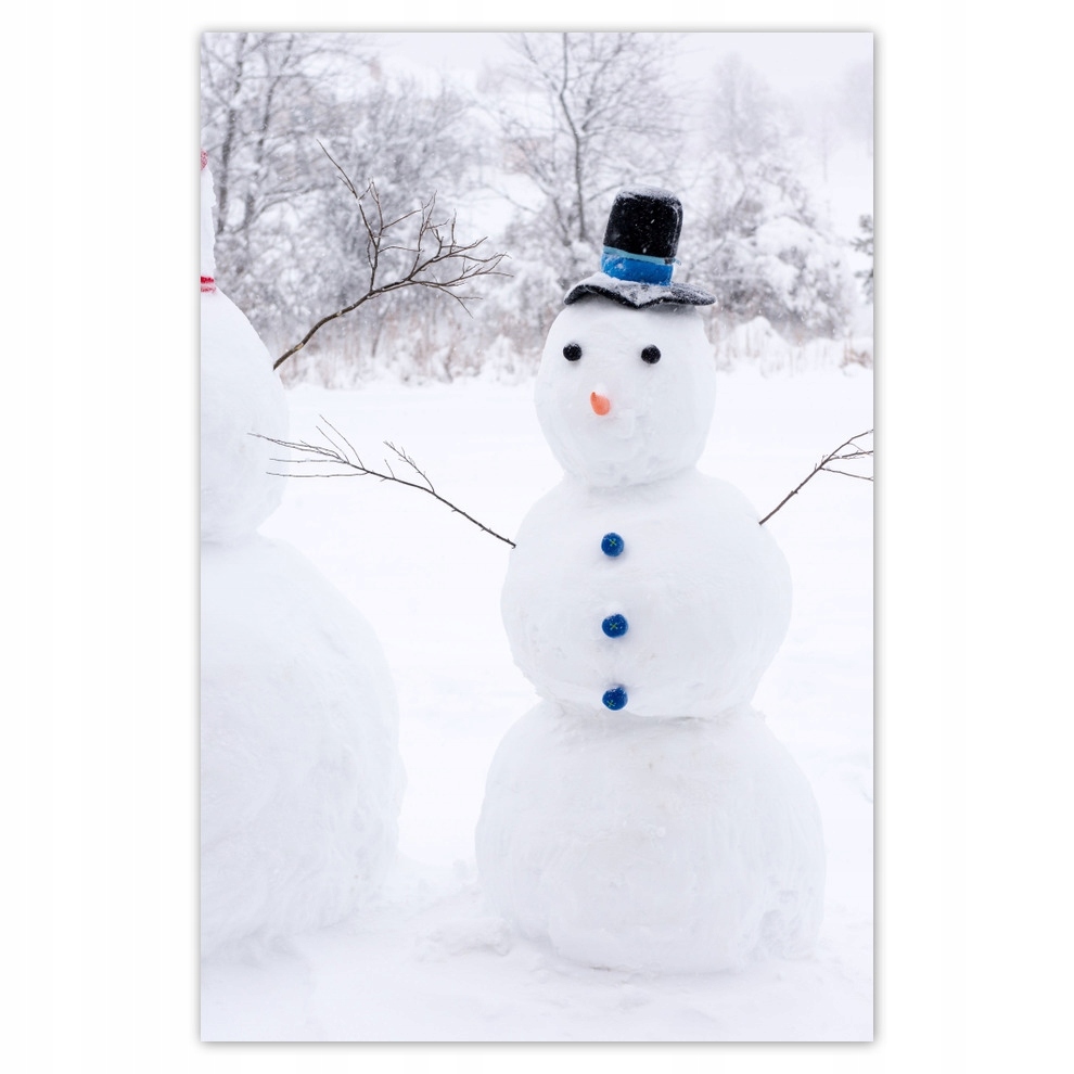 

Plakaty 62x93 Bałwanki Zima Śnieg Biel