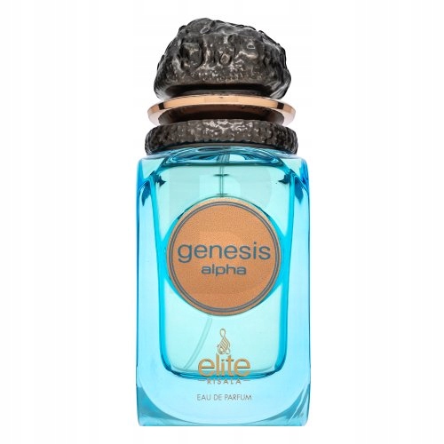 Risala Elite Genesis Alpha parfémovaná voda pro muže 100 ml