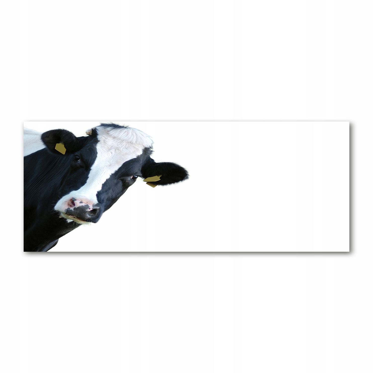 

Foto obraz duży na szkle akrylowym Krowa 125x50 cm
