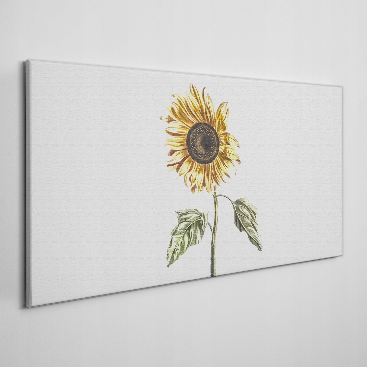 

Obraz ścienny na płótnie Kwiaty rośliny 140x70 cm