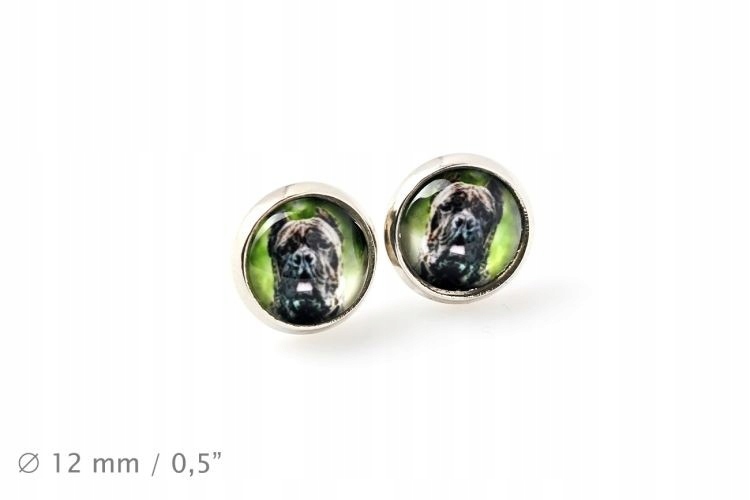 

Cane Corso Kolczyki z Twoim zdjęciem Handmade
