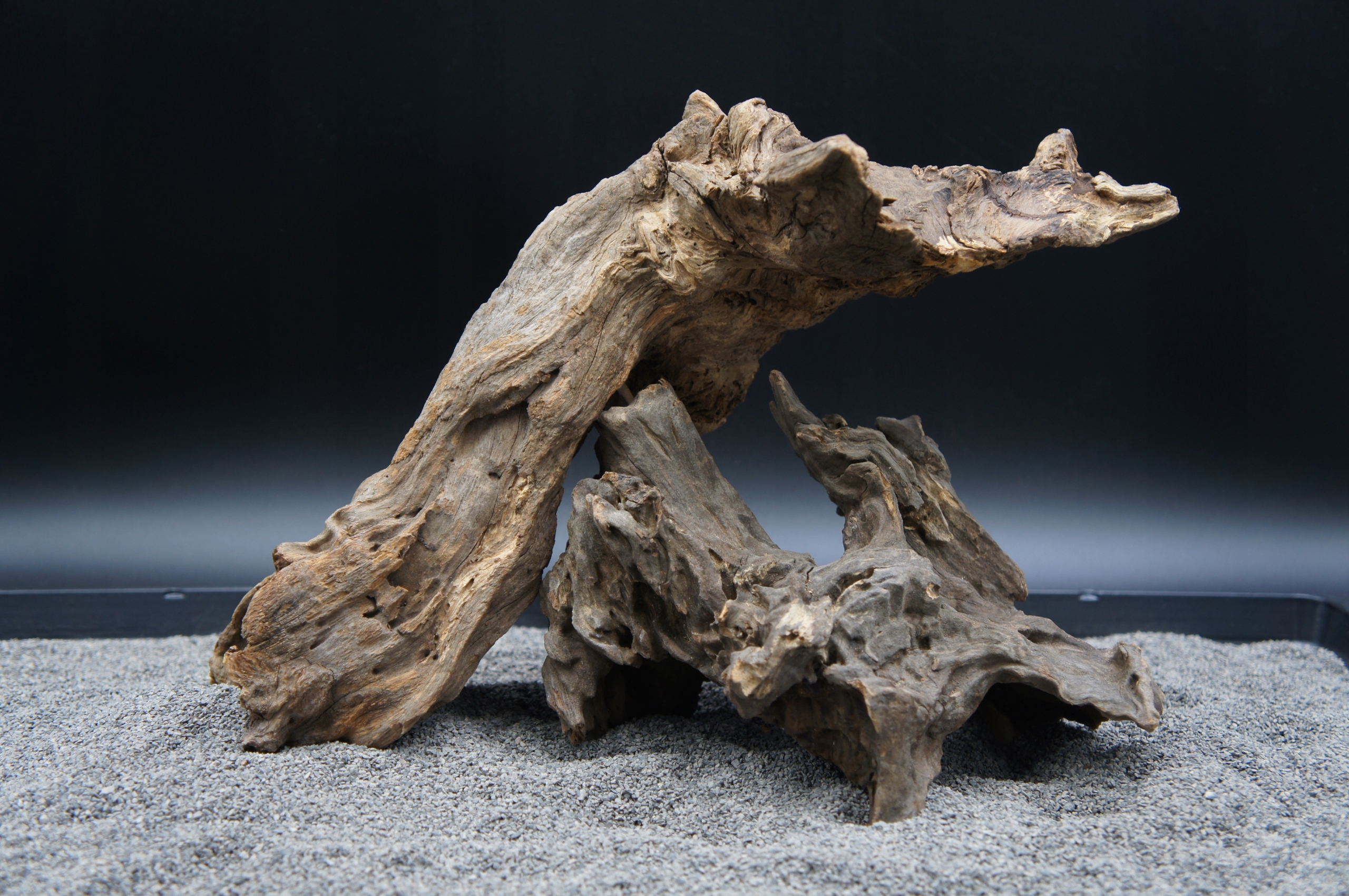 Levně Kořeny pro akvárium terárium jagged wood 35 cm Set Z Fotografie (J126)