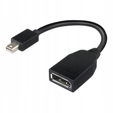 Lenovo 20 pin DisplayPort żeński Mini DisplayPort męski 0,176 m