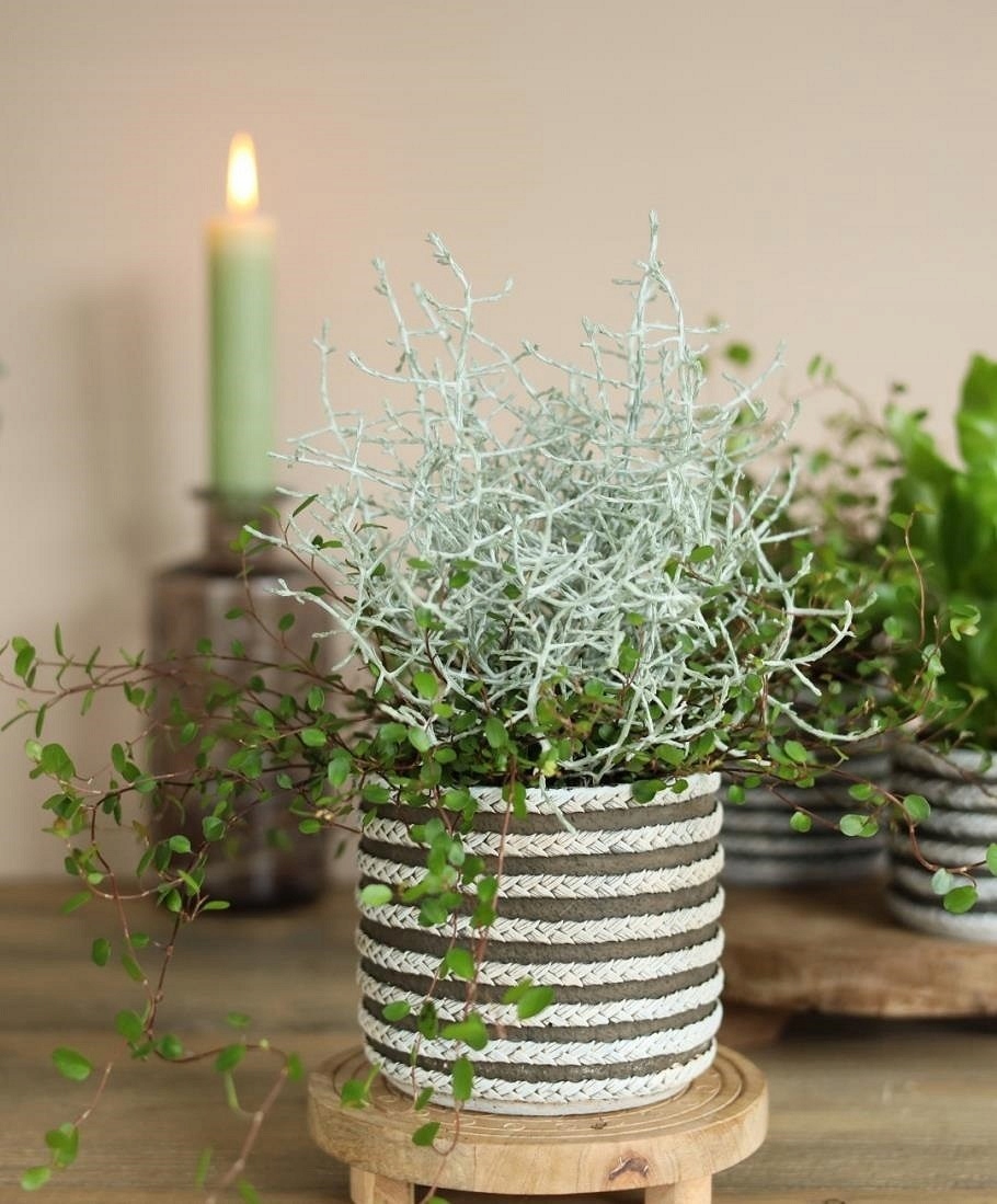 OSŁONKA DONICZKA 10CM STYL BOHO SZARA Kod producenta 33653