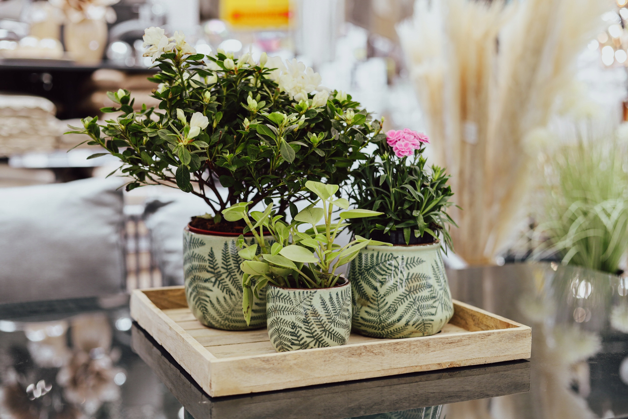 OSŁONKA CER.E71-43 Kolor zielony