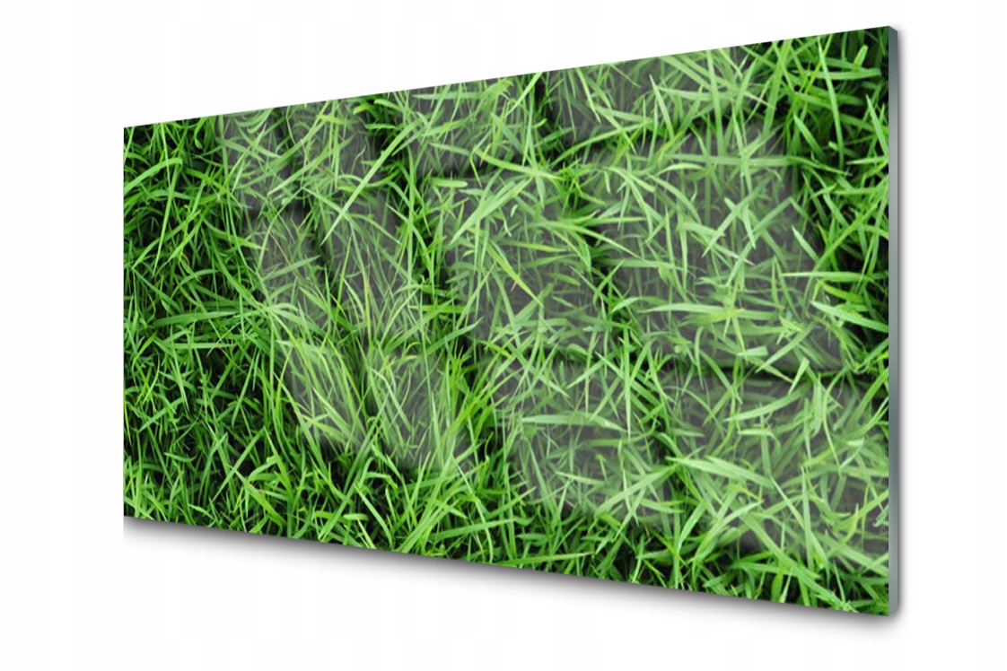 Dekoratívny sklenený panel Tráva Trávnik 100x50