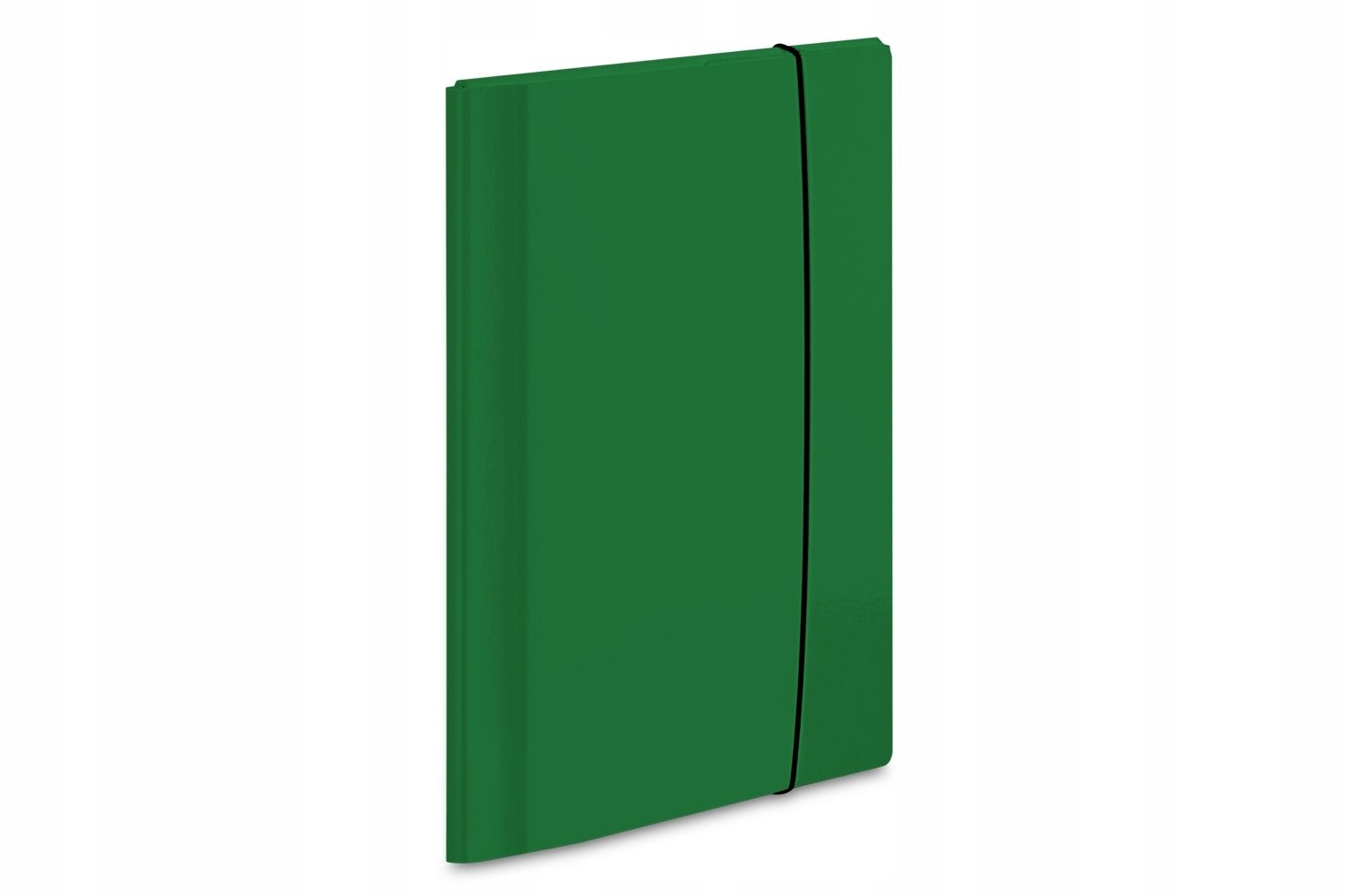 

Teczka kartonowa z gumką Vaupe Large 2 zielona