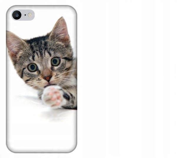 

Etui pokrowiec iPhone 8 Kot kotek smieszne zwierze