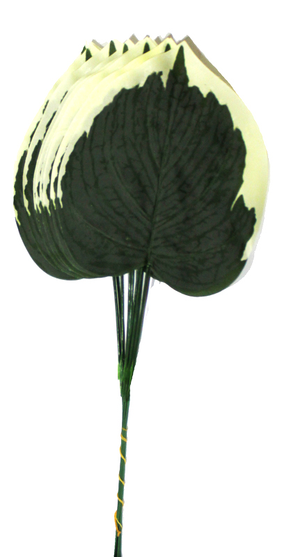 

Liść Zielony Omszały 47 cm Zestaw 12 szt L9