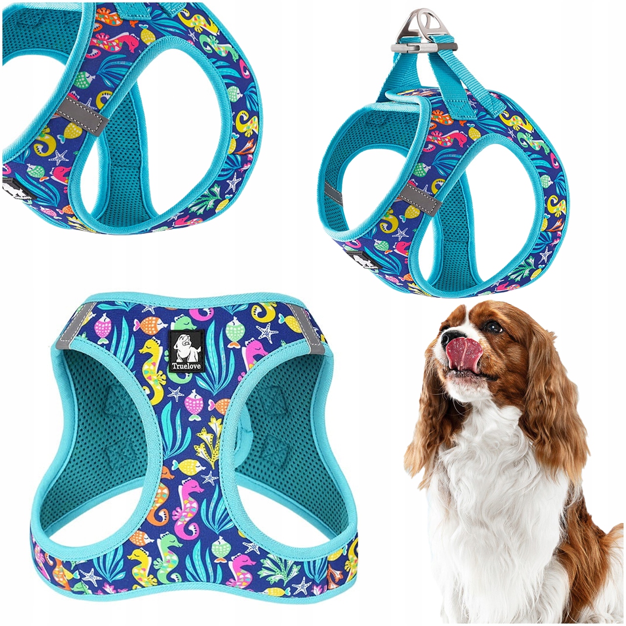 Levně Popruhy Pro Malého Psa Typu Step-in Nastavitelné Truelove Mini Atoll Modré S