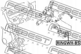 USZCZELNIACZ UKŁADU CHŁODZENIA VW PASSAT B5.5 1.8 Numer katalogowy części RINGWH-B5