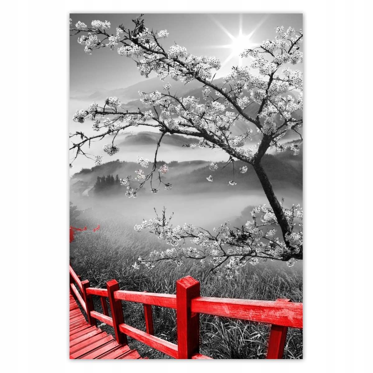 Plakáty 135x200 Kvetoucí višeň Japonsko