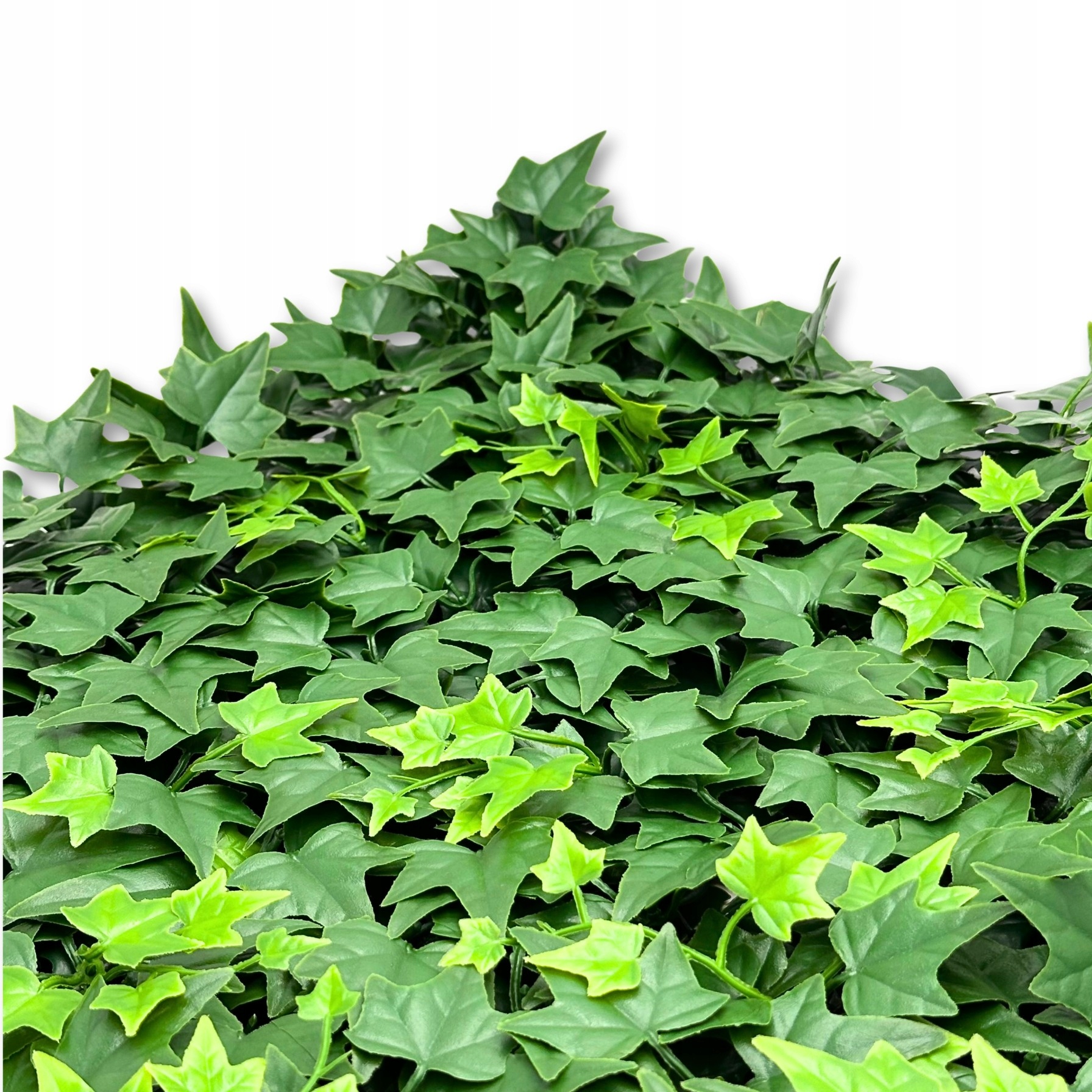 BioPlant Background Ivy Mata břečťan Modulární pozadí pro terária 100x50 cm
