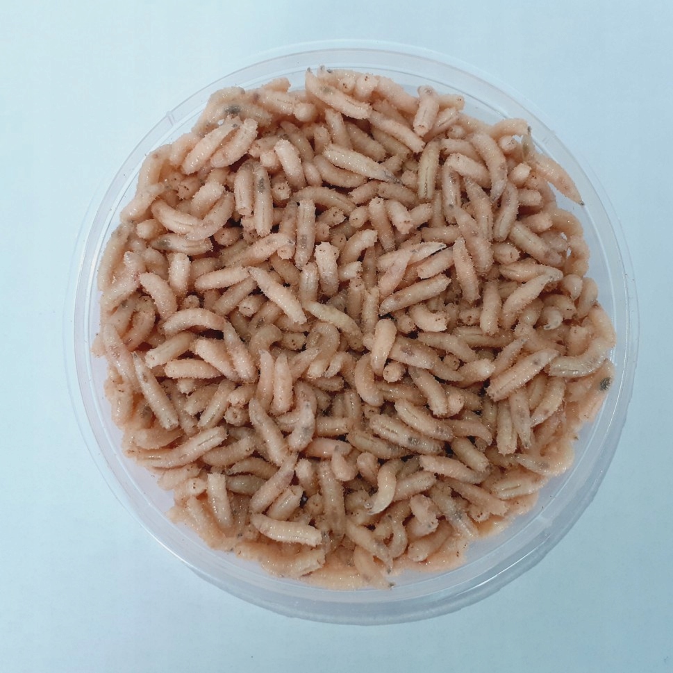 ROBAK BIAŁY OP. 100 ML