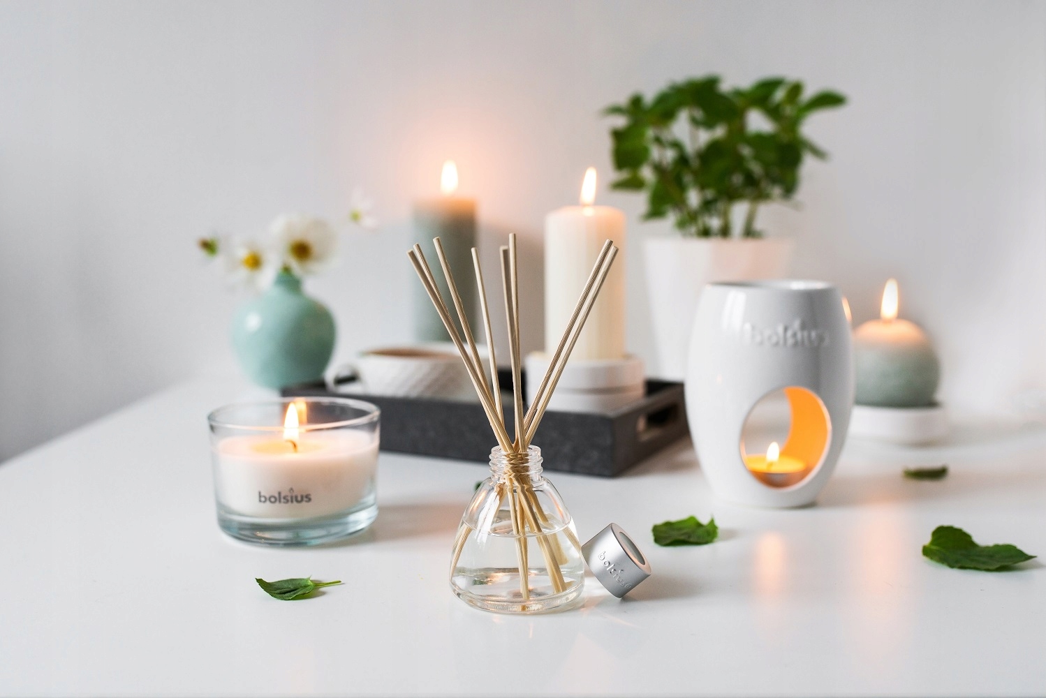 DYFUZOR zapachowy odświeżacz Bolsius TRUE SCENTS 45ml DRZEWO AGAROWE Kod producenta 8717847135360