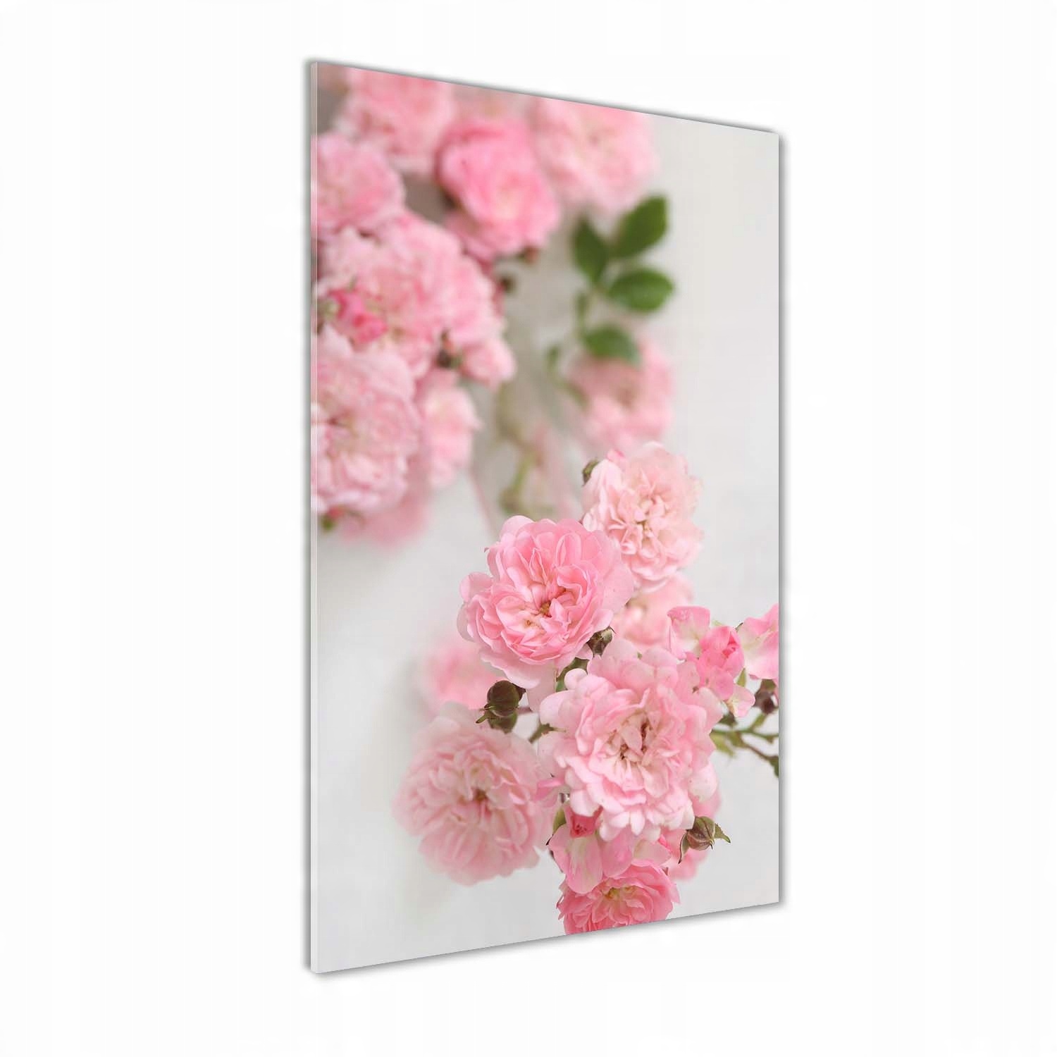 

Foto obraz szkło hartowane Dzika róża 60x120 cm