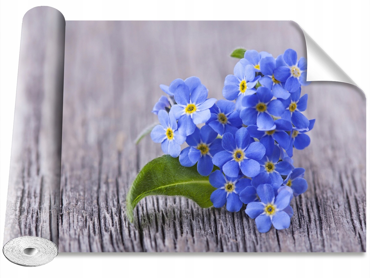 

Tapeta Samoprzylepna Niezapominajki 208x146